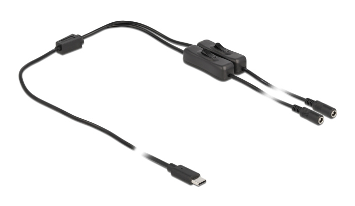 DELOCK καλώδιο USB Type-C σε 2x DC 5.5 x 2.1mm 86800, 1m, μαύρο - DELOCK 96915