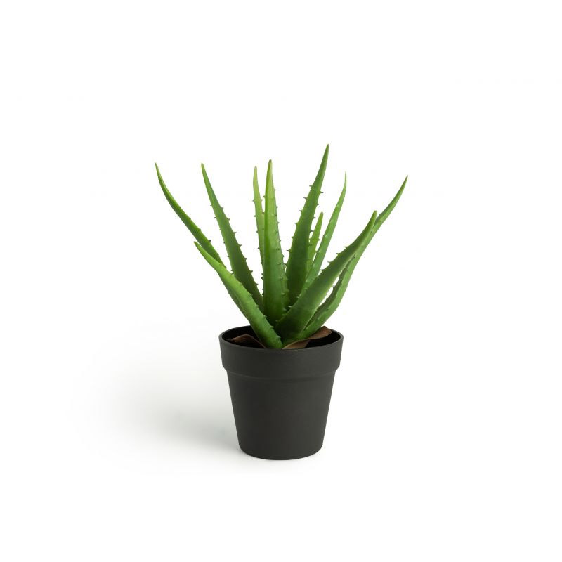 Τεχνητό Φυτό Aloe Vera 36 cm Inkazen 40081834 - 40081834