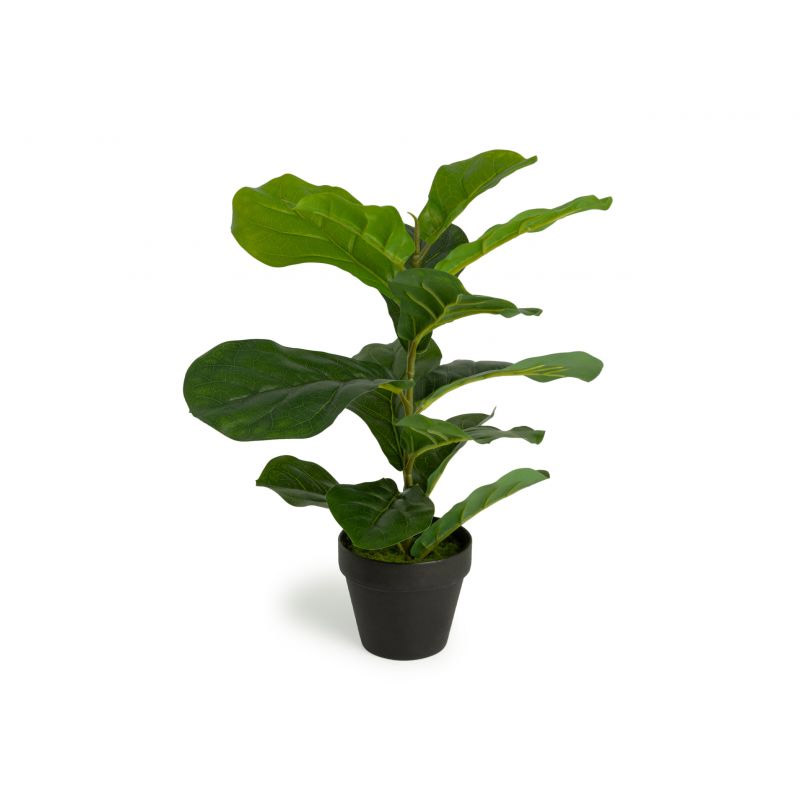 Τεχνητό Φυτό Ficus Lyrata 50 cm Inkazen 40081828 - 40081828