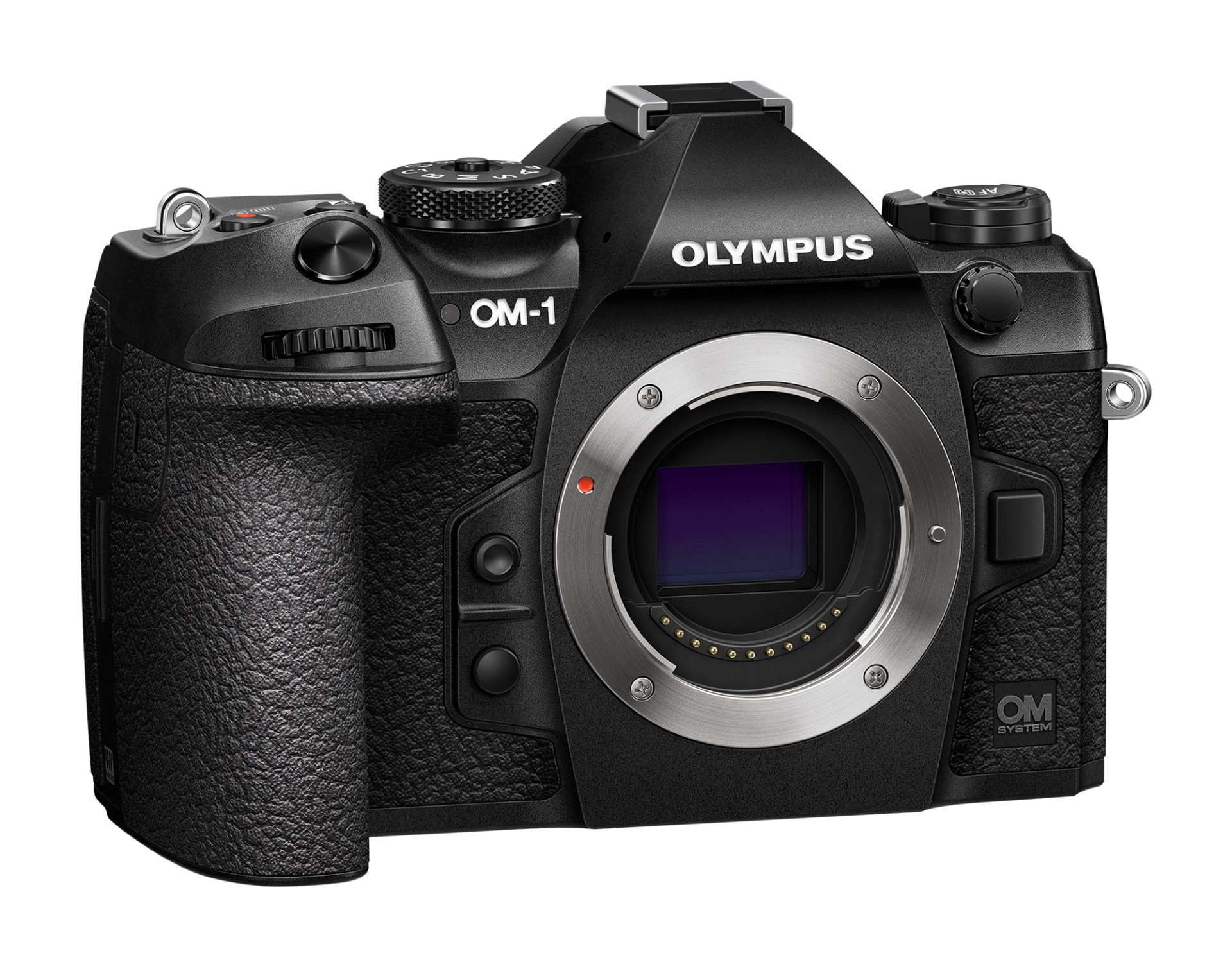 Olympus OM-1 body black, USB Cable, Strap, protector, BLX-1 Li-ion battery, F-7AC AC adapter - Olympus 9.01.03.03.153